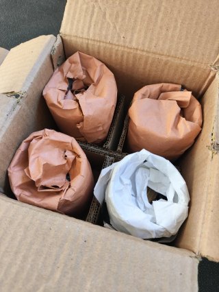 Kit Motor Mahle REZONTHERM Renault 12 TS