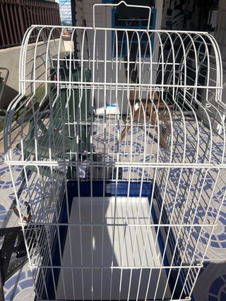 Jaula para loros con accesorios 4 puertas anti ape