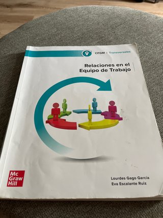 Relaciones en el equipo de trabajo Grado Medio