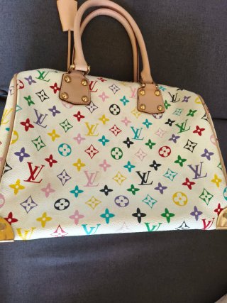 Bolso de mano Louis Vuitton Multicolor