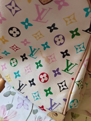 Bolso de mano Louis Vuitton Multicolor