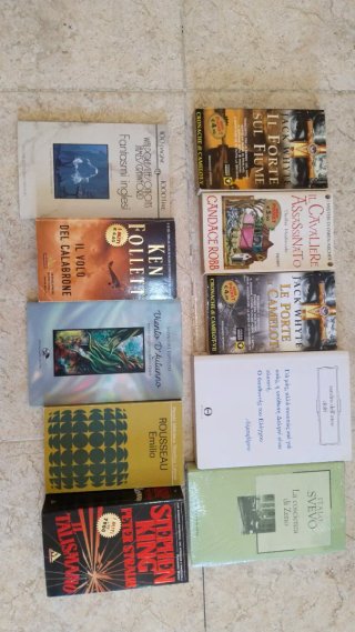 Lote de Libros Variados (Novela, Misterio, Histó..