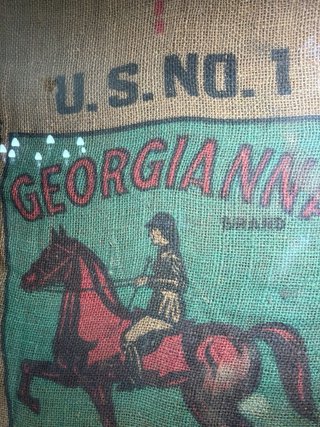 Saco de tela vintage Georgiana