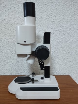 Microscopio Bresser Junior 20x Estéreo