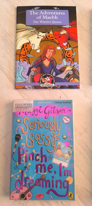 Lote de libros en ingles para niñas