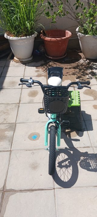 Bicicleta infantil