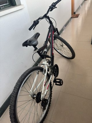 Bicicleta Montaña Rodado 26