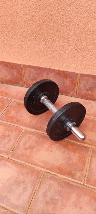 Juego de pesas 10 Kg
