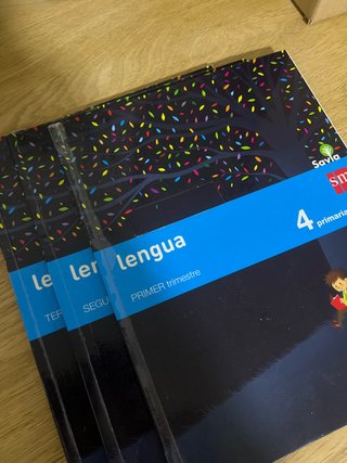 Lengua 4 Primaria
