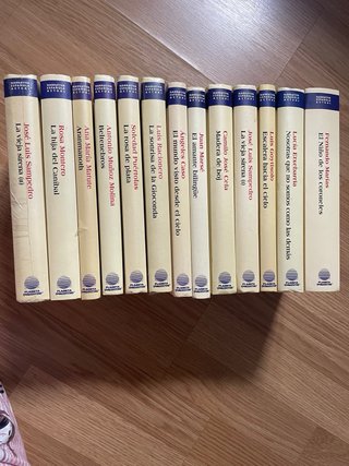 Coleccion grandes autores de la narrativa española
