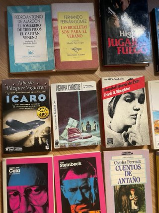 Lote libros de bolsillo, grandes clasicos