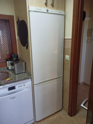 Frigorífico Combi en Ayamonte