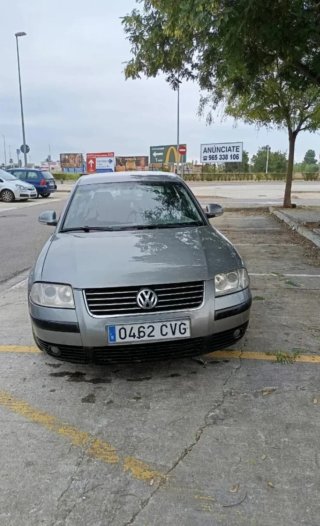 Volkswagen Passat Gris