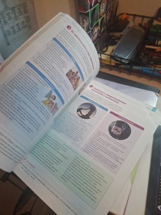 Formación y orientación personal y profesional ...