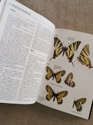 Guide Delachaux des Papillons de France. Mariposas