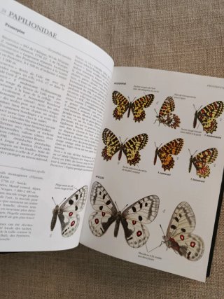 Guide Delachaux des Papillons de France. Mariposas