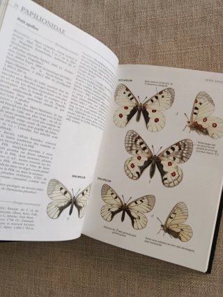 Guide Delachaux des Papillons de France. Mariposas