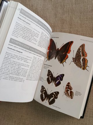Guide Delachaux des Papillons de France. Mariposas