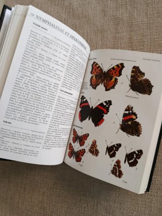 Guide Delachaux des Papillons de France. Mariposas
