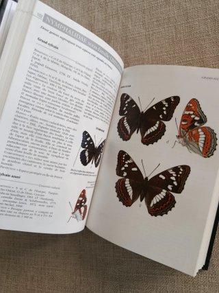 Guide Delachaux des Papillons de France. Mariposas