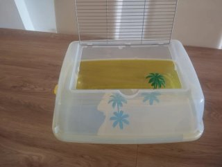 Acuario tortuga transparente y amarillo
