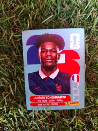 Cromos del mundial Panini a 2 euros