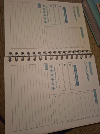 Agenda Mr Wonderful Planes, Sueños y Retos