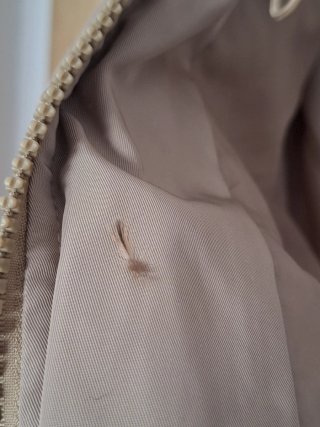 Plumón auténtico, beige con capucha y pelo