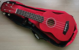 UKELELE PARA PRINCIPIANTES