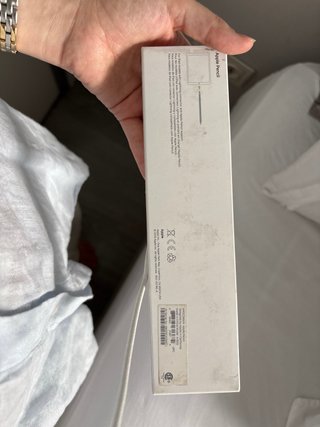 Apple Pencil Plata/Blanco