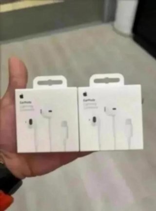 Lote 2 EarPods Apple con Conector Lightning (Caja