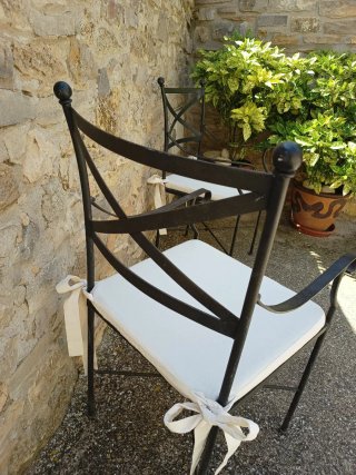 Sillas de hierro con brazos y cojines