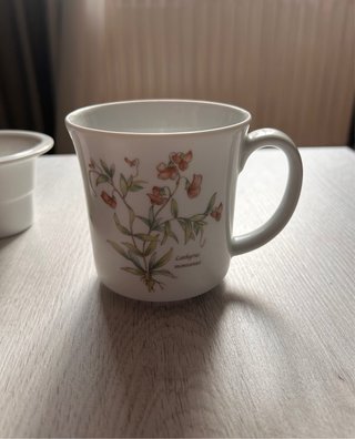 Taza de té de porcelana con infusor y tapa