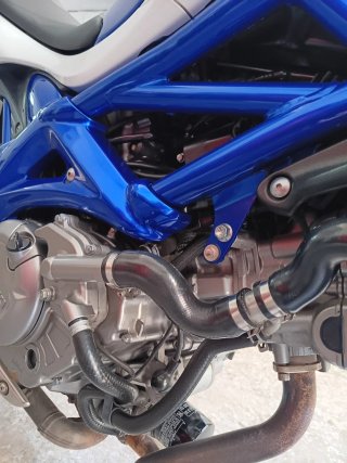 Suzuki SFV Gladius Naked Azul/Blanco
