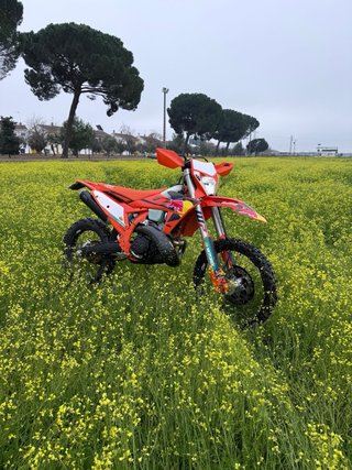 KTM 300 EXC 2025 Champion Edition