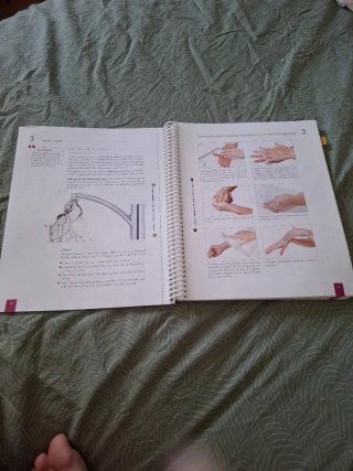Micropigmentación (libro de taller)