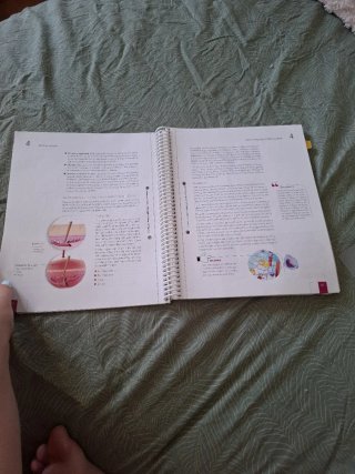 Micropigmentación (libro de taller)
