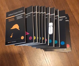 Lote 16 libros bilingües inglés-español + USB MP3