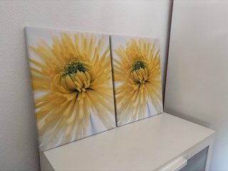 Cuadros Flor Amarilla Ikea