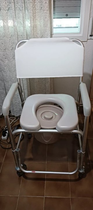 Silla WC y Ducha Plataforma