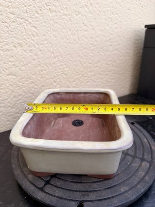 Maceta cerámica para bonsái