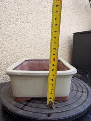Maceta cerámica para bonsái