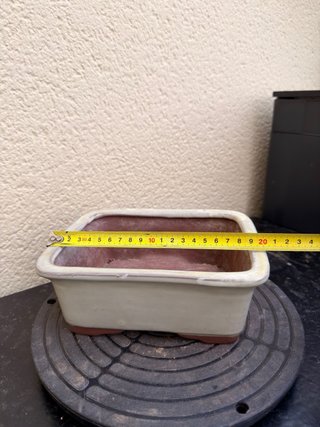 Maceta cerámica para bonsái