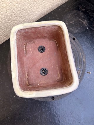 Maceta cerámica para bonsái