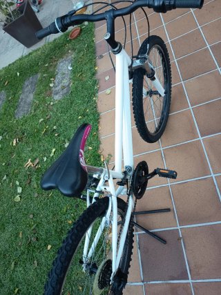 Bicicleta Avigo Stylin 24"