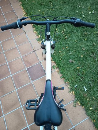 Bicicleta Avigo Stylin 24"