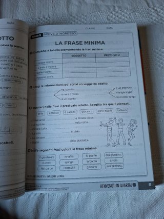 Guida smart 4 italiano  nuovissima