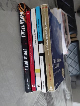 Libros de lectura Ins Leonardo 2ESO
