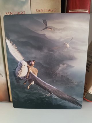 Steelbook Hogwarts Legacy PS4 PS5 Xbox