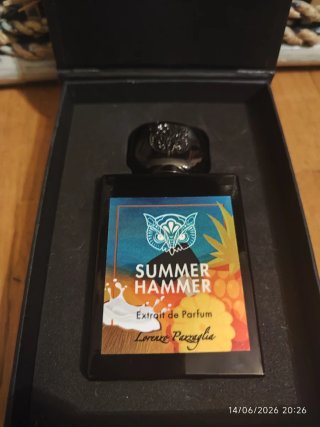 Lorenzo Pazzaglia Summer Hammer